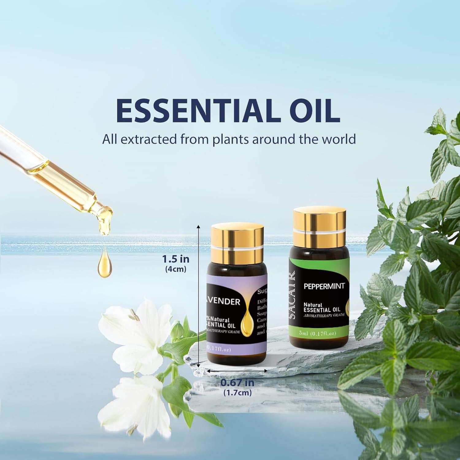 Set de 12 Aceites Esenciales Naturales para Difusor, Masaje, Velas y Jabones DIY (12 x 5 ml)